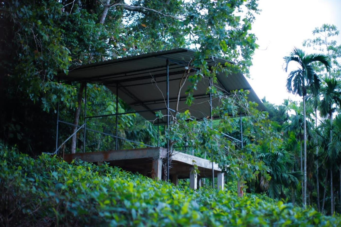 Rainforest Lodge, Deniyaya Singheraja エクステリア 写真