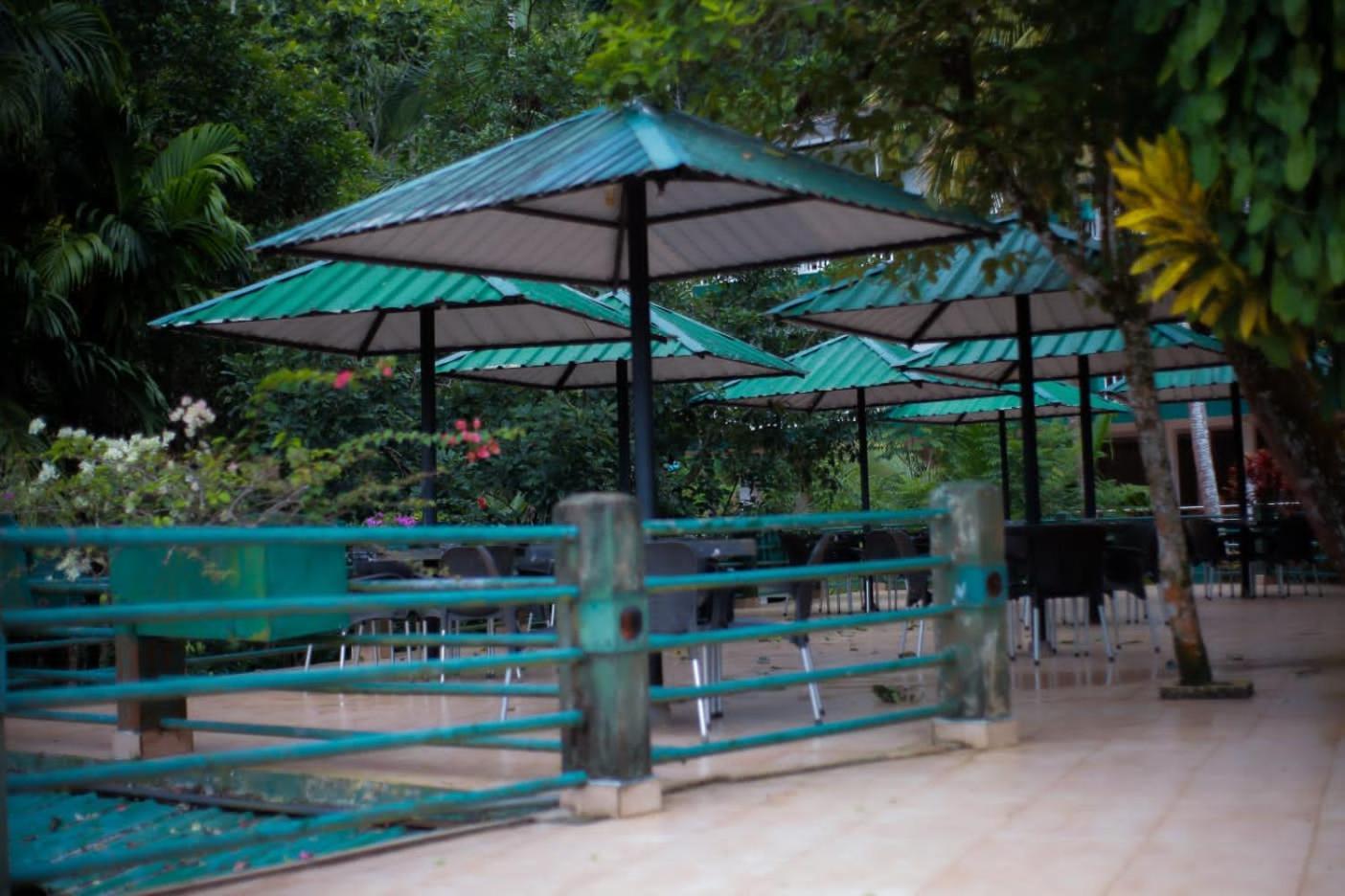Rainforest Lodge, Deniyaya Singheraja エクステリア 写真