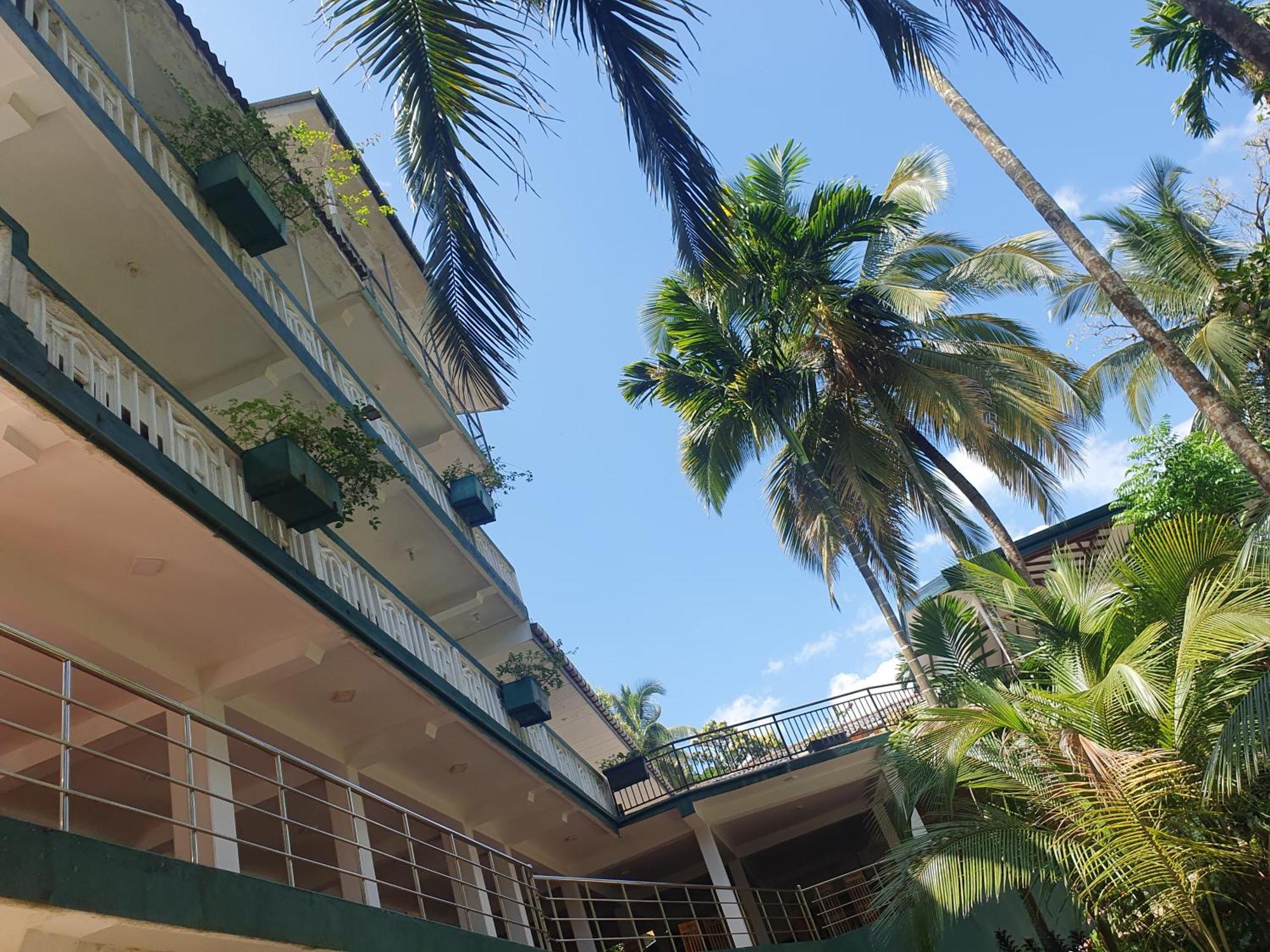 Rainforest Lodge, Deniyaya Singheraja エクステリア 写真