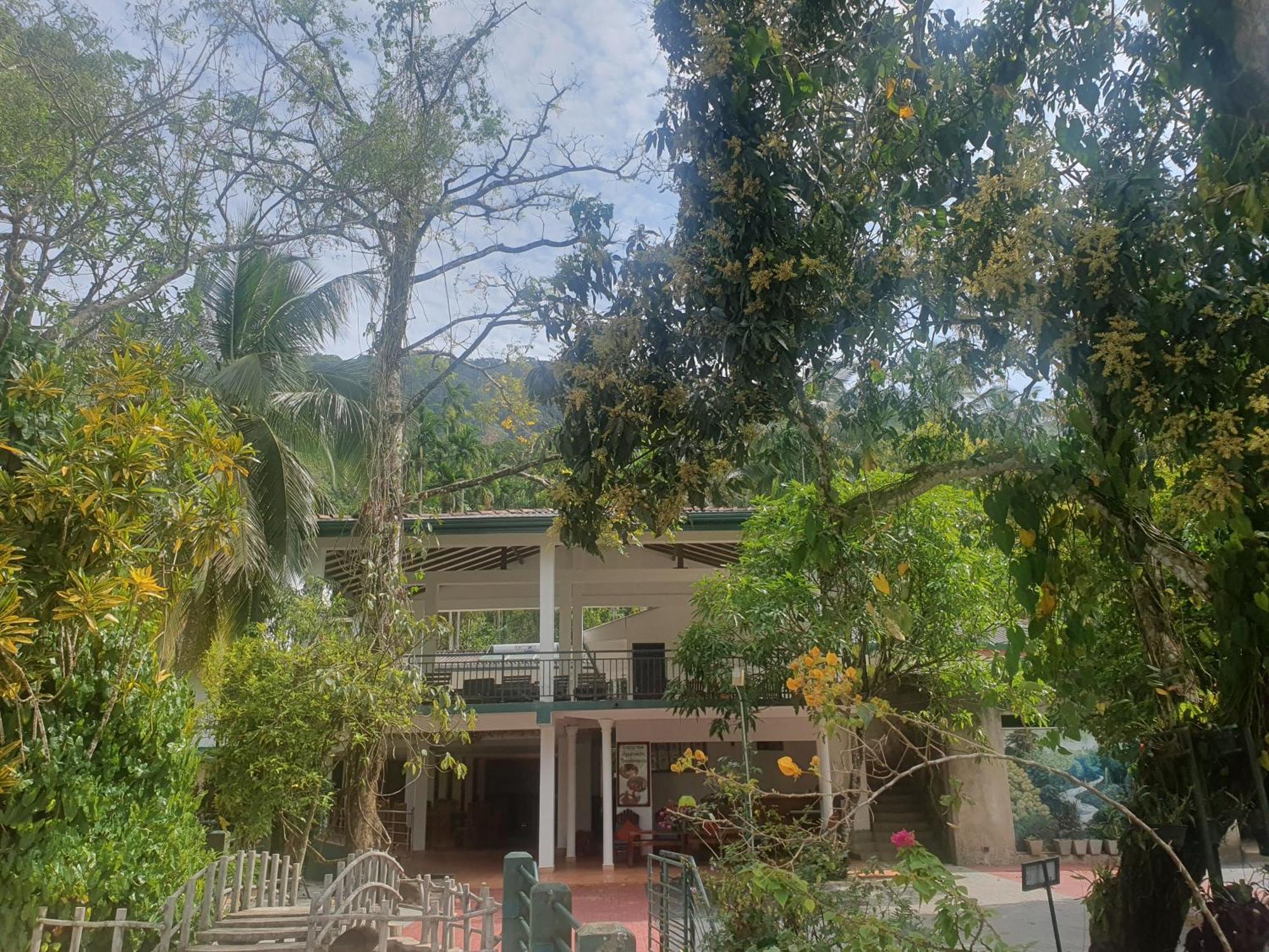 Rainforest Lodge, Deniyaya Singheraja エクステリア 写真