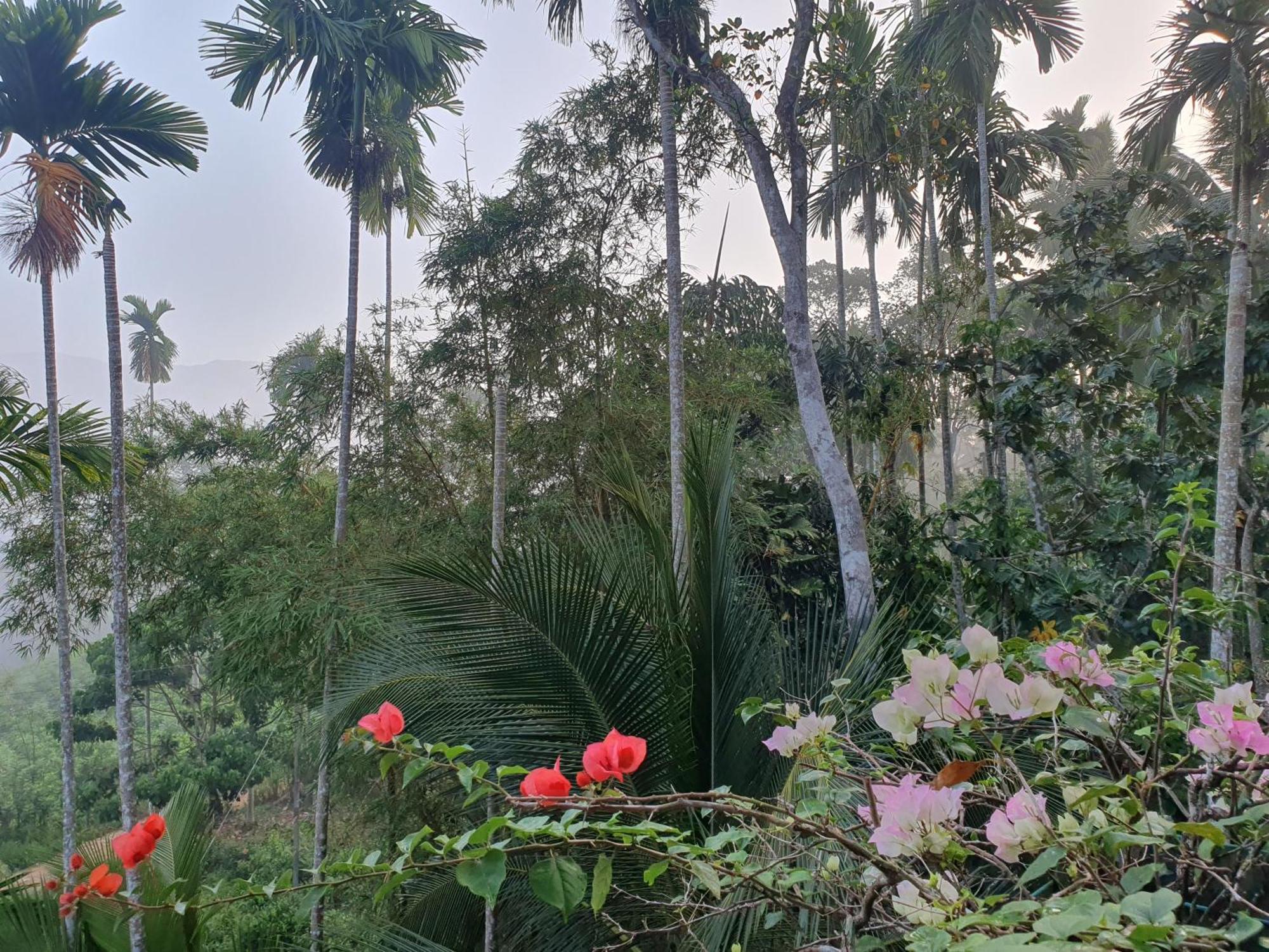 Rainforest Lodge, Deniyaya Singheraja エクステリア 写真