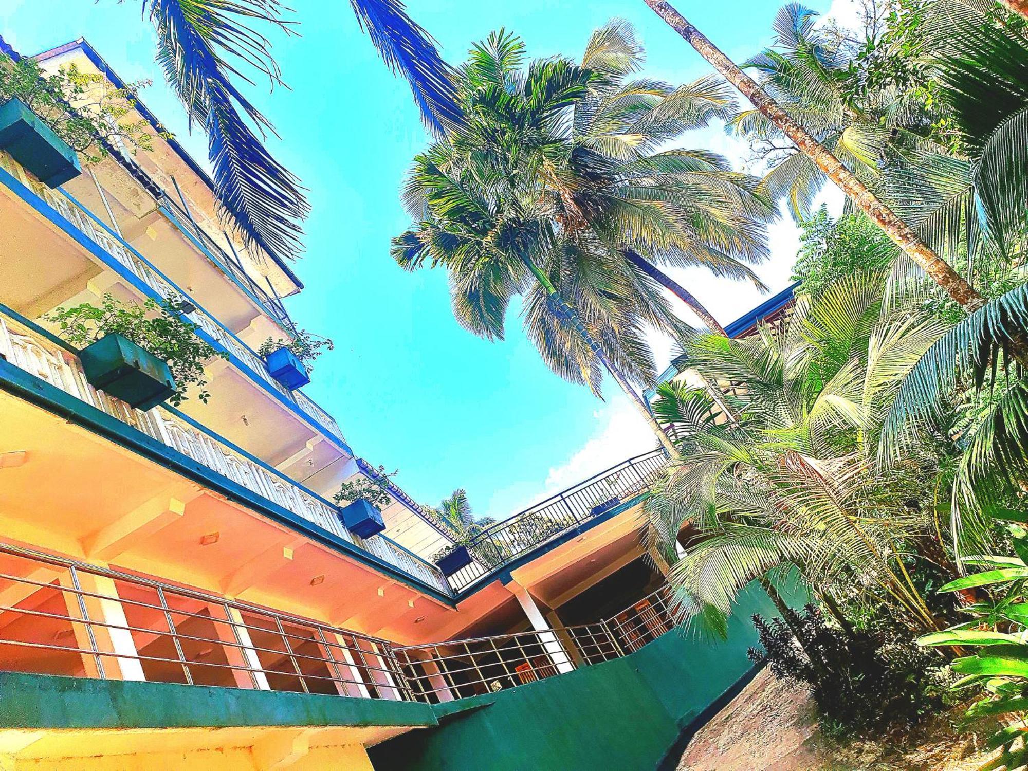 Rainforest Lodge, Deniyaya Singheraja エクステリア 写真