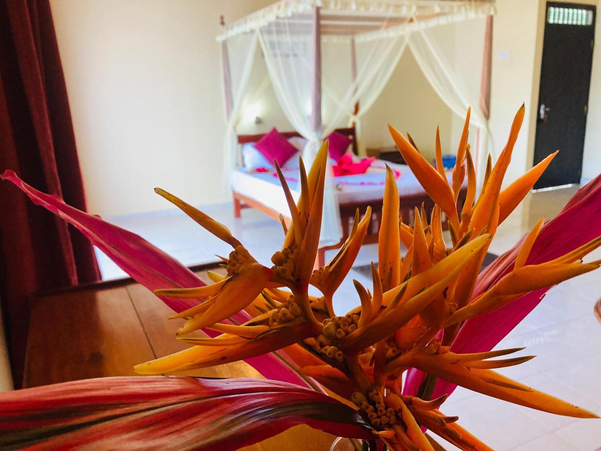 Rainforest Lodge, Deniyaya Singheraja エクステリア 写真