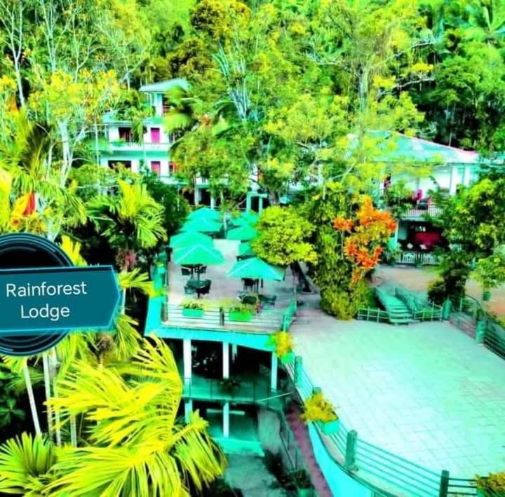 Rainforest Lodge, Deniyaya Singheraja エクステリア 写真